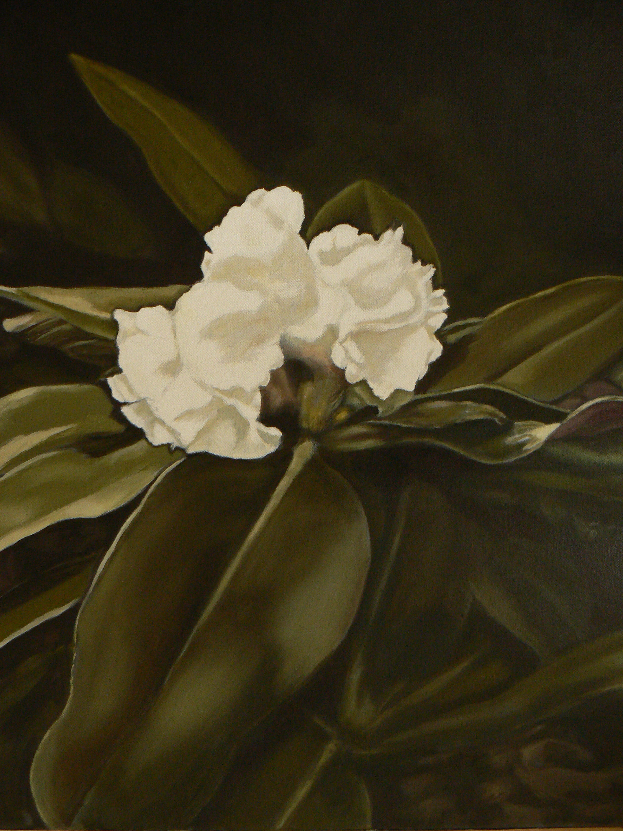 'Rhododendron IX' by artist Ellisa Haldenby